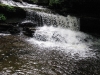 ricketts-glen-waterfalls-8